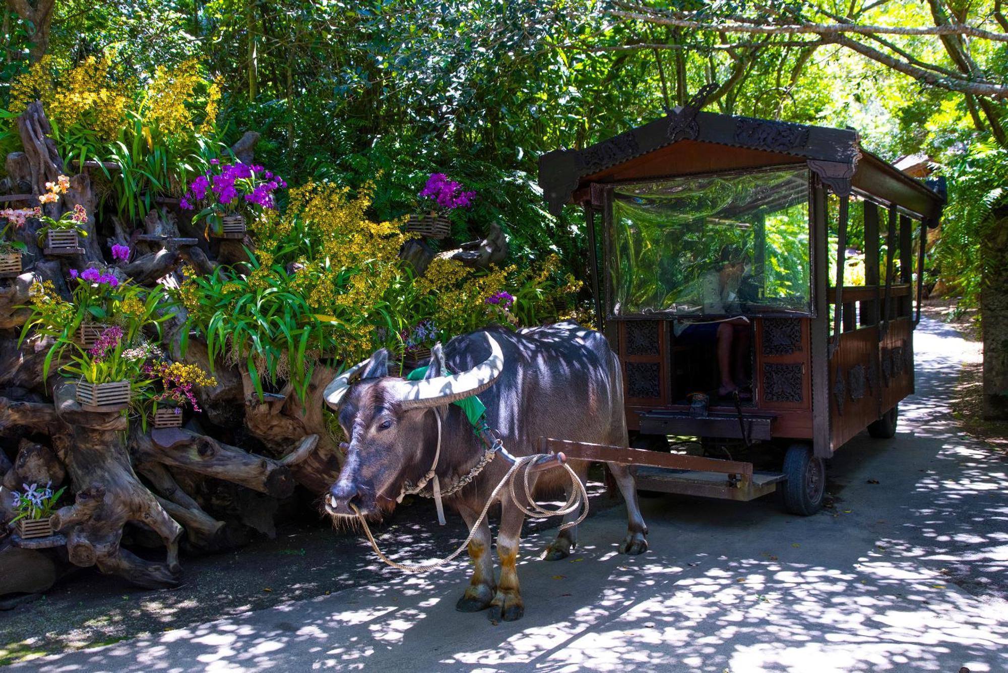 新規オープン サウナ Bbq ジャグジー付き 最大7名 無料駐車場4台 ビーチまで車で5分 Sky House Villa Uruma Exterior foto